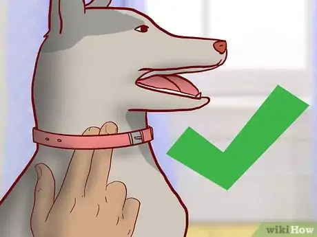 Image titled Educate Yourself As a New Dog Owner Step 2