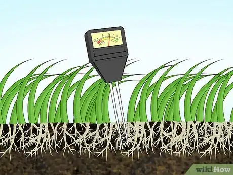 Image titled Get Rid of Moss in Your Lawn Step 14