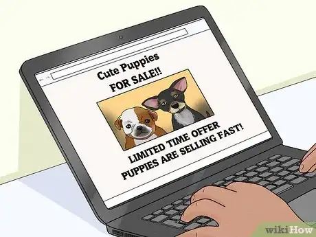 Image titled Identify a Puppy Mill Step 3