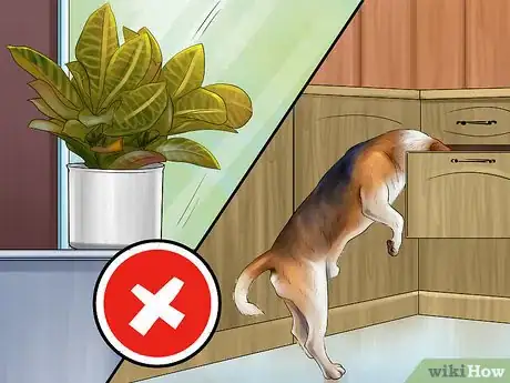 Image titled Know if You Are Ready for a Dog Step 38