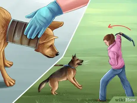 Image titled Care for a Rescued Dog Step 4