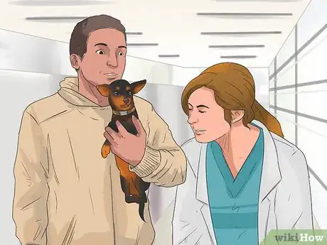 Image titled Understand Small Dog Syndrome Step 9