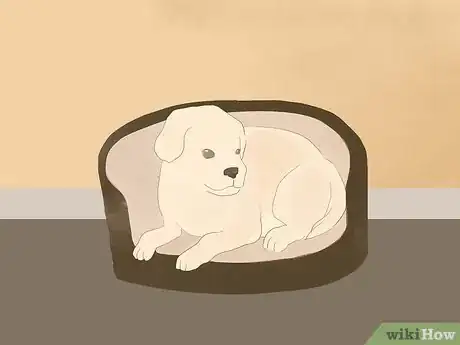 Image titled Catch Your Dog when They Run After Another Dog or Person Step 13