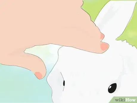 Image titled Address Biting and Aggressive Behavior in a Rabbit Step 9