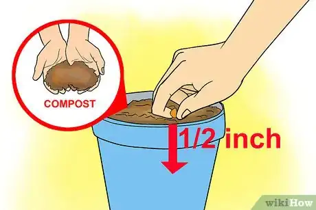 Image titled Care for Cyclamen Plants Step 18