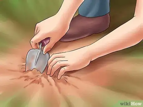 Image titled Transplant Bulbs Step 3