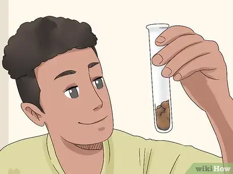 Image titled Make a Bulb Garden Step 1