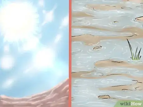 Image titled Plant a Tulip Poplar Tree Step 2