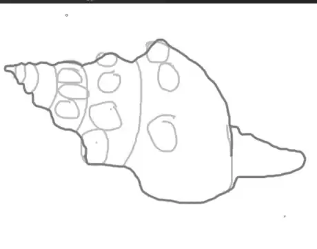 Image titled Drawaconchstep6.png