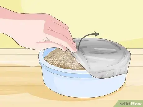 Image titled Grow Arugula Microgreens Step 7