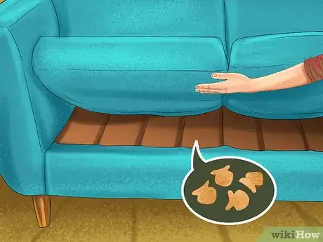 Image titled Hide Treats for Your Cat Step 1
