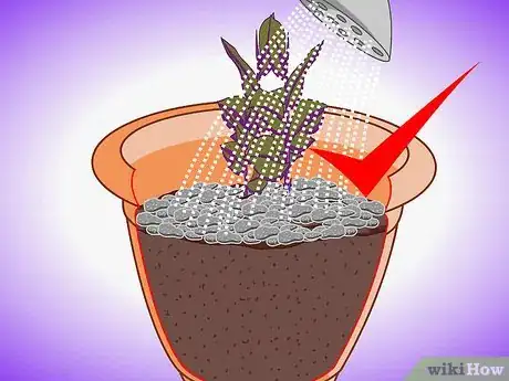 Image titled Plant Aquatic Plants Step 18