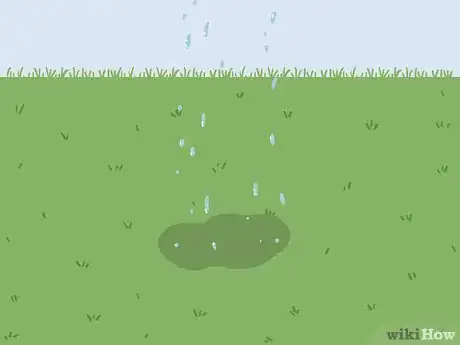 Image titled Bring Back Dead Grass Step 10