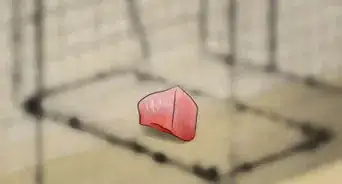 Keep a Fisher Cat Away