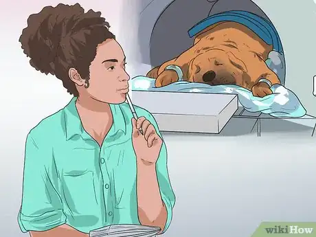 Image titled Treat Urinary Tract Problems in Dogs Step 12