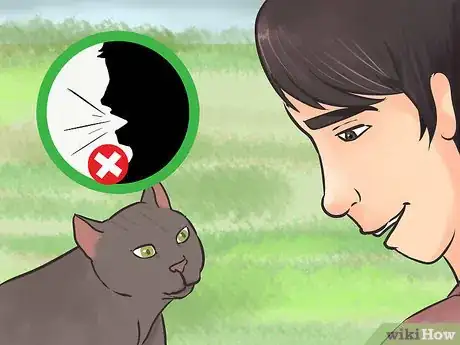 Image titled Earn a Kitten's Trust Step 3