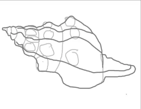 Image titled Drawaconchstep7.png