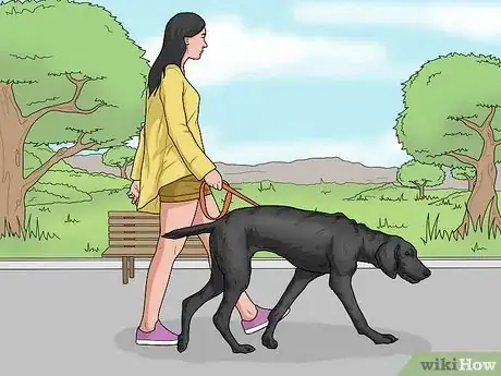 Image titled Hang Out with Your Dog Step 11