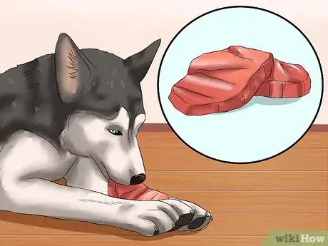 Image titled Prepare a Healthy Meal for Your Pet Dog Step 5
