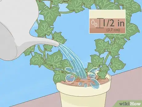 Image titled Grow a Topiary Step 26