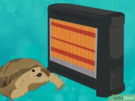 Image titled Wake a Tortoise from Hibernation Step 2
