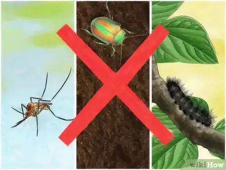 Image titled Eat an Insect or Arachnid Step 9