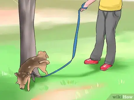 Image titled Encourage Your New Dog to Listen to You Step 10