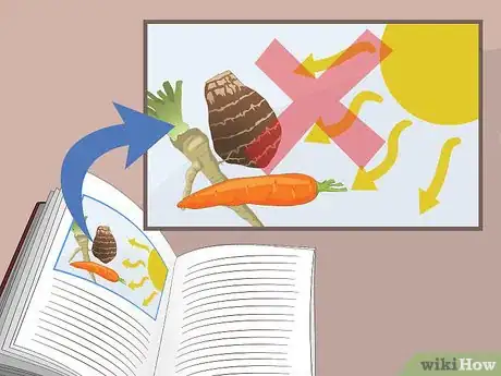 Image titled Store Produce in a Root Cellar Step 5