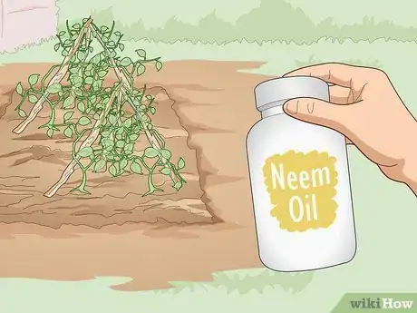 Image titled Use Organic Pesticides for Gardening Step 1