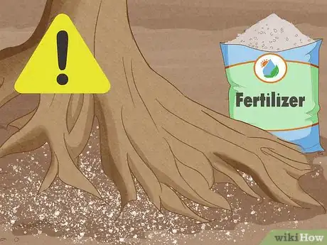 Image titled Pollinate Fruit Trees Step 13