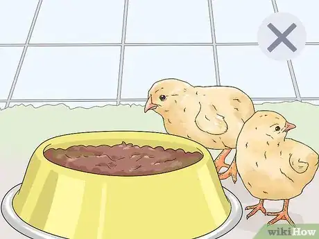 Image titled Feed Chickens Table Scraps Step 10