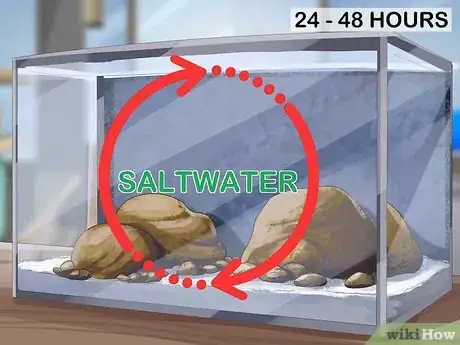 Image titled Start a Saltwater Aquarium Step 23