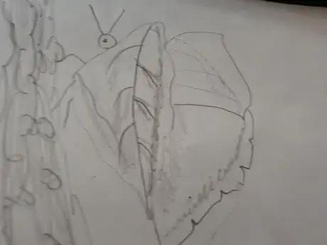 Image titled 20180706_142130