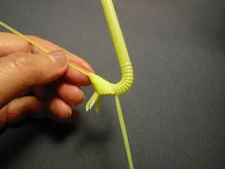 Image titled Shachi32_817.JPG