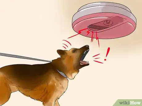 Image titled Fire Drill Train Your Dog Step 2