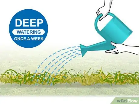 Image titled Grow Centipede Grass Step 18