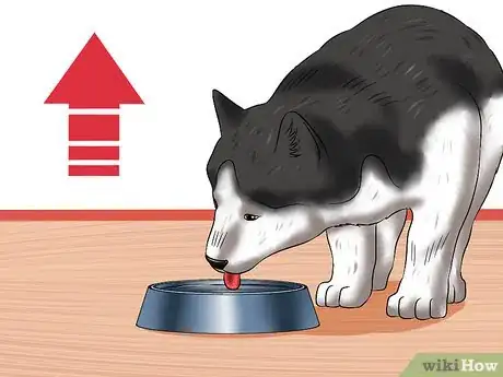 Image titled Treat Canine Coronavirus Step 2