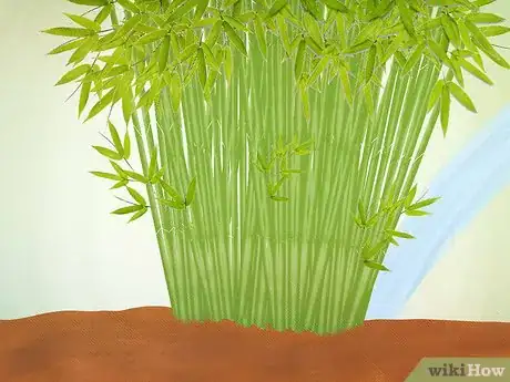 Image titled Plant a Clumping Bamboo Step 13