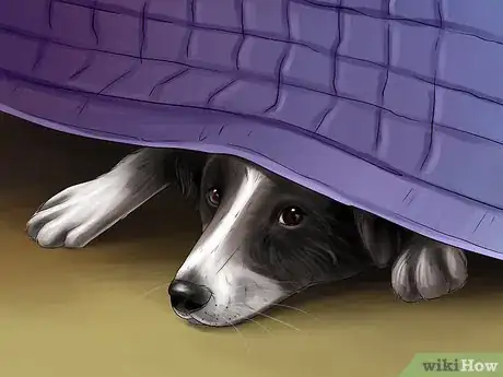 Image titled Deal with Canine Noise Aversion Step 2