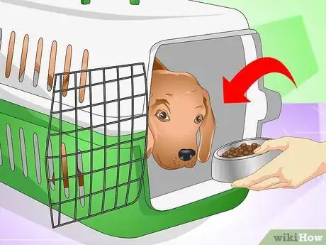 Image titled Discipline a New Puppy Step 16