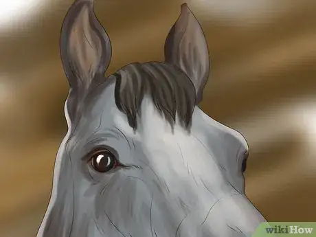 Image titled Choose a Horse for Therapeutic Riding Step 3