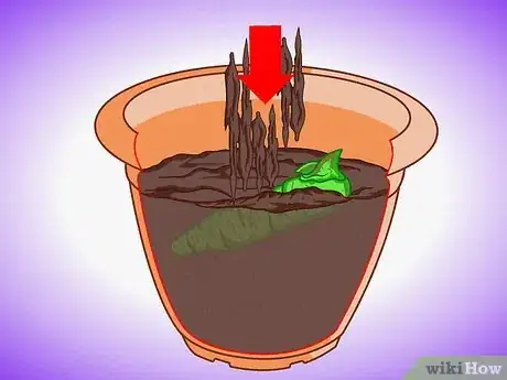 Image titled Plant Aquatic Plants Step 13