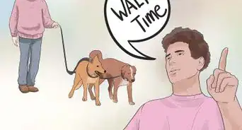 Walk Two Dogs with One Leash