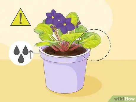 Image titled How Often Do You Water an African Violet Step 6