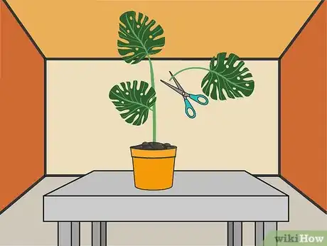 Image titled Grow Philodendron Step 14
