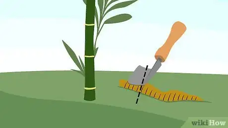 Image titled Prune Bamboo Step 11