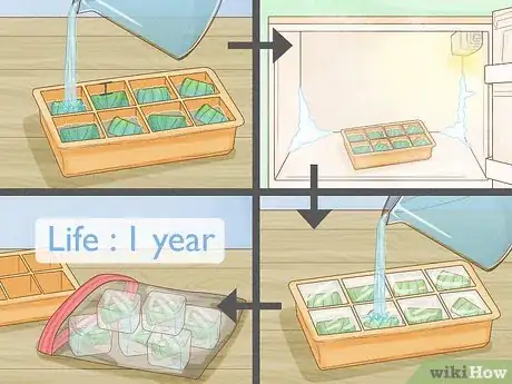 Image titled Harvest Bay Leaves Step 6
