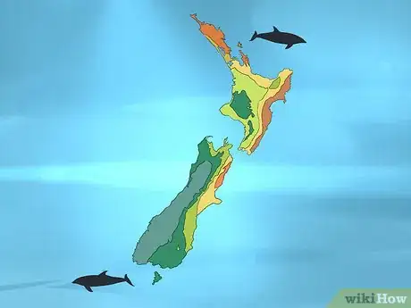 Image titled Identify a New Zealand Dolphin Step 1