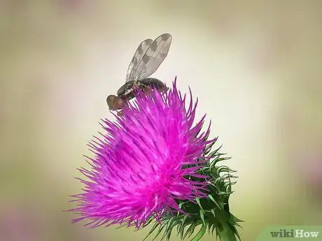 Image titled Root Out Thistles Step 13