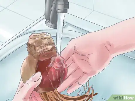 Image titled Care for Amaryllis Flowers Step 20